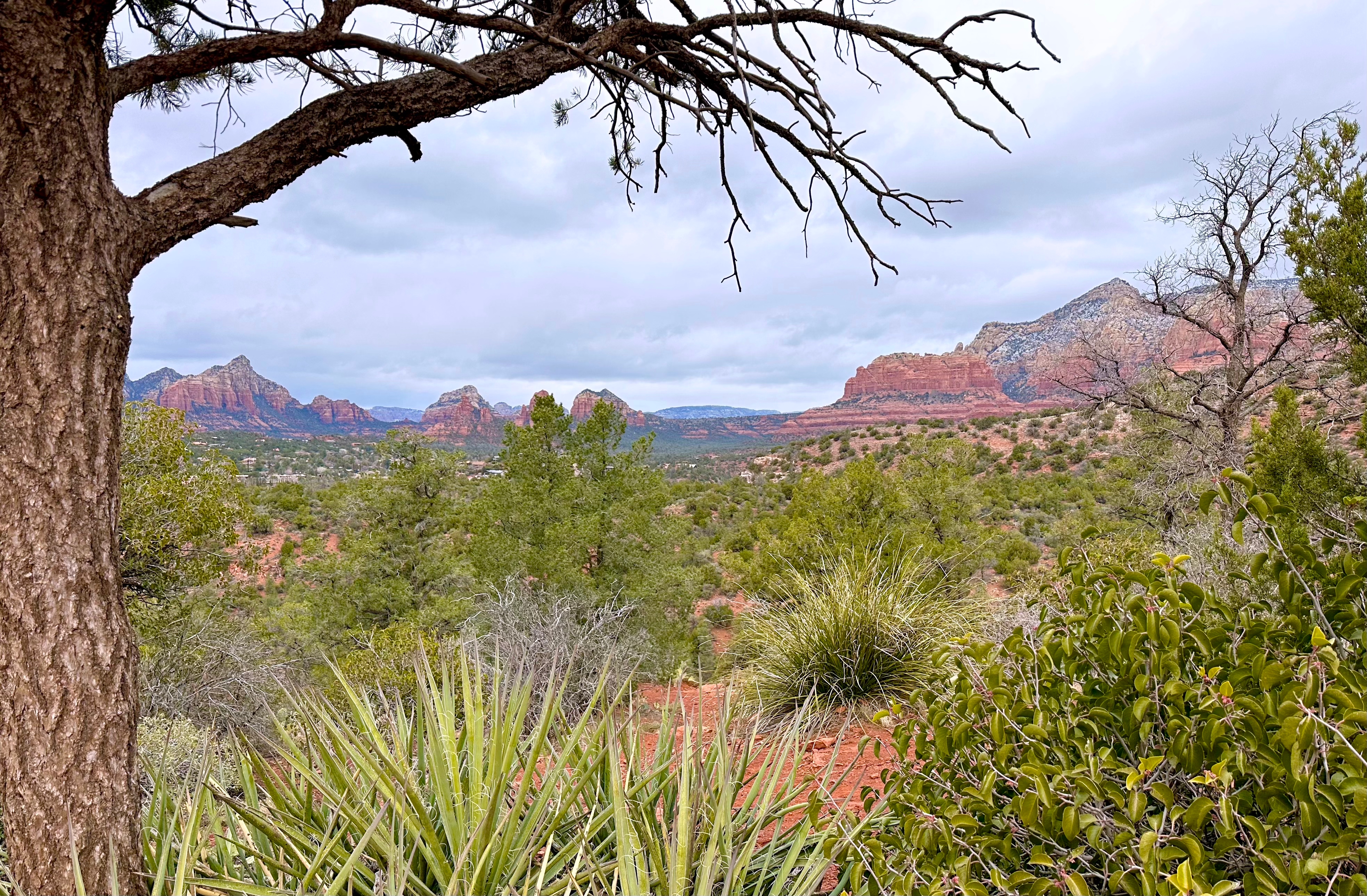 Travel Insights into Red Rock Country